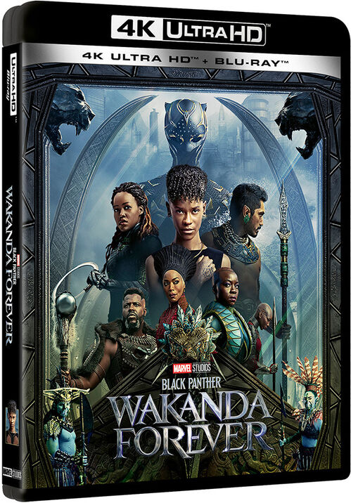 Black Panther: Wakanda Forever (2022)