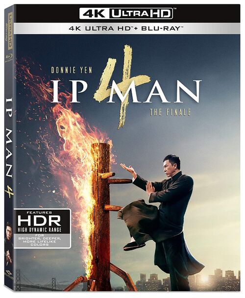 Ip Man IV (2019)