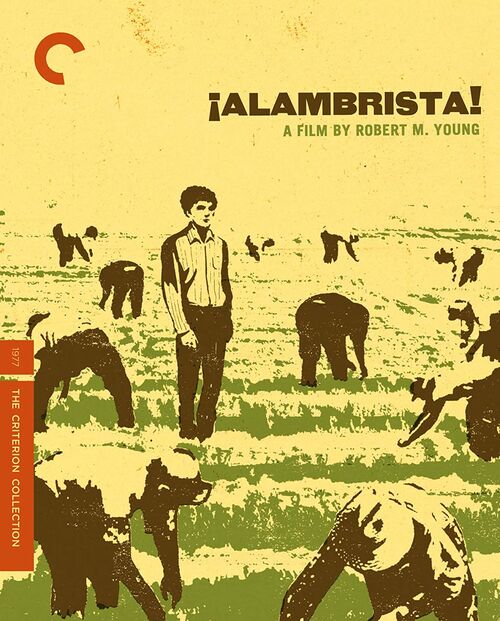 Alambrista! (1977) (Regin A)