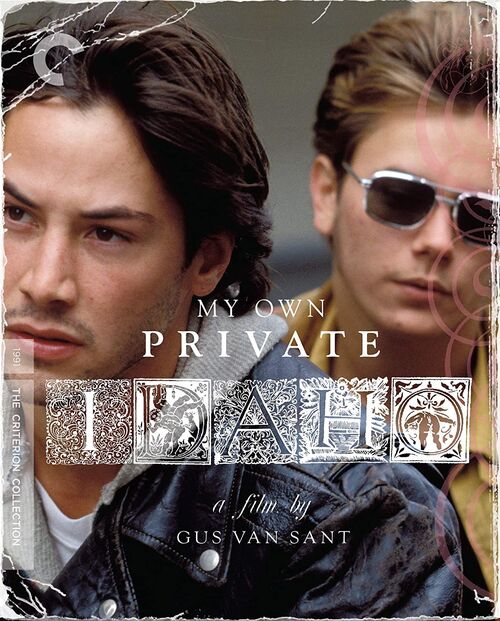 Mi Idaho Privado (1991) (Región A)