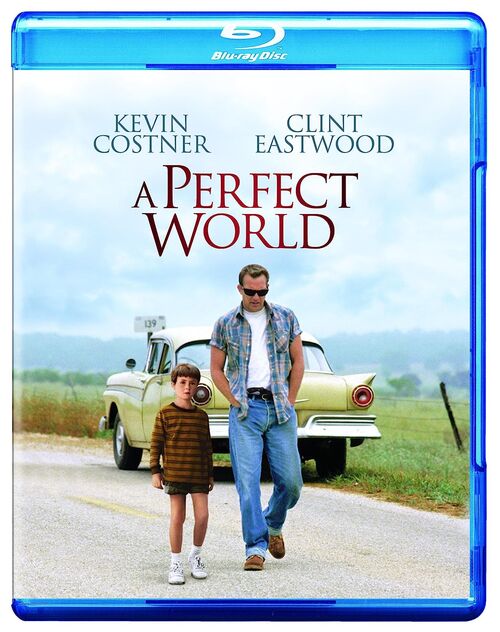 Un Mundo Perfecto (1993)