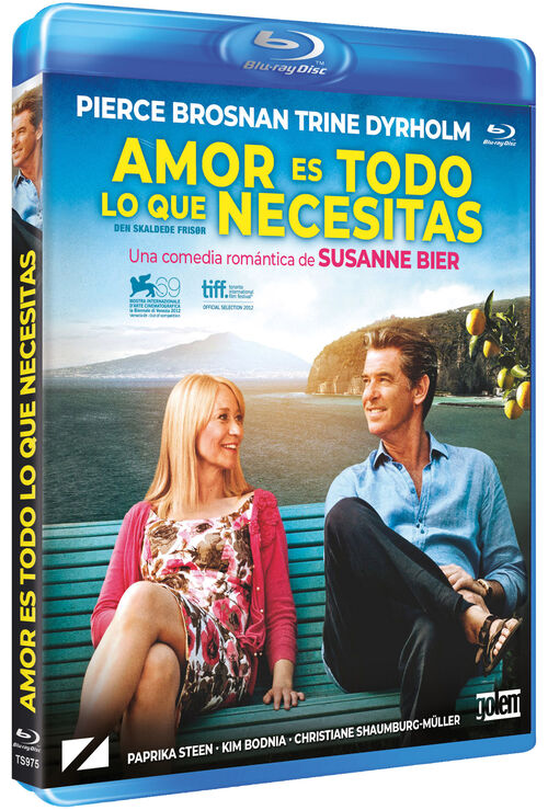 Amor Es Todo Lo Que Necesitas (2012)