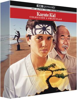 Pack Karate Kid - 3 pelculas (1984-1989)