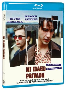Mi Idaho Privado (1991)
