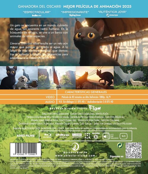 Flow (2024)