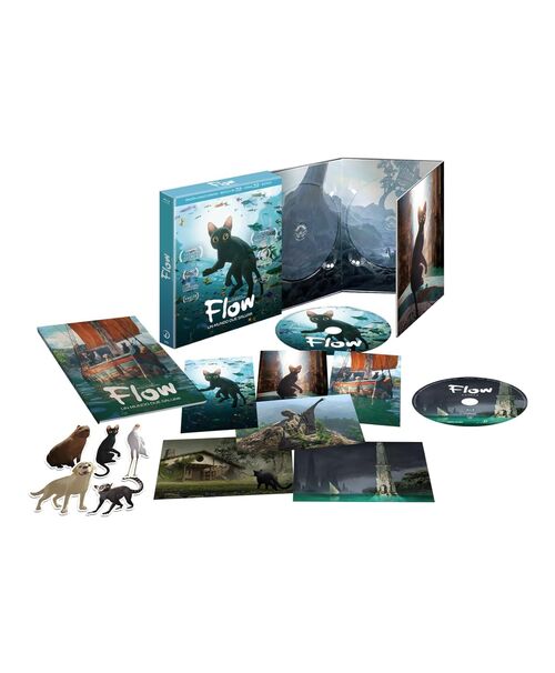 Flow (2024)