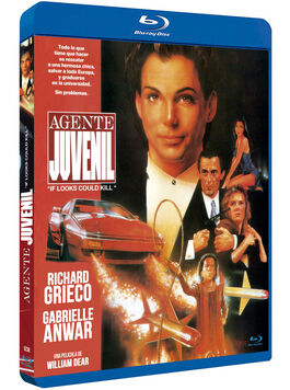 Agente Juvenil (1991)