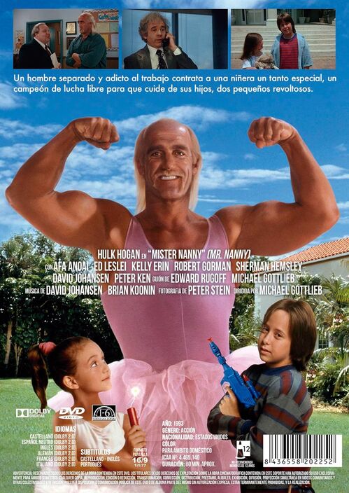 Mister Nanny (1993)