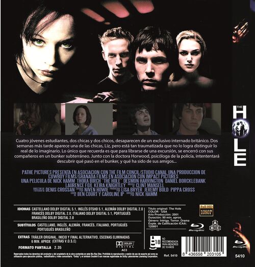 The Hole (2001)