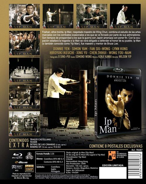 Ip Man (2008)