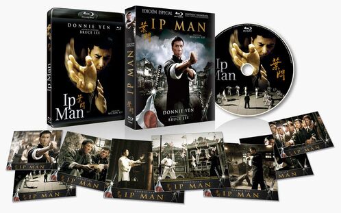 Ip Man (2008)