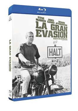 La Gran Evasión (1963)