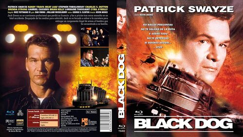 Black Dog (1998)