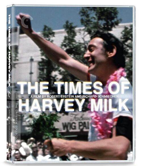 La poca De Harvey Milk (1984)