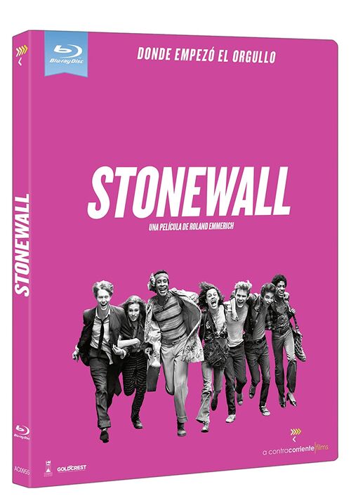 Stonewall (2015)